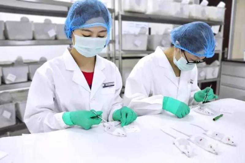 广州医疗科技革新之路:愈尔美医疗引领未来